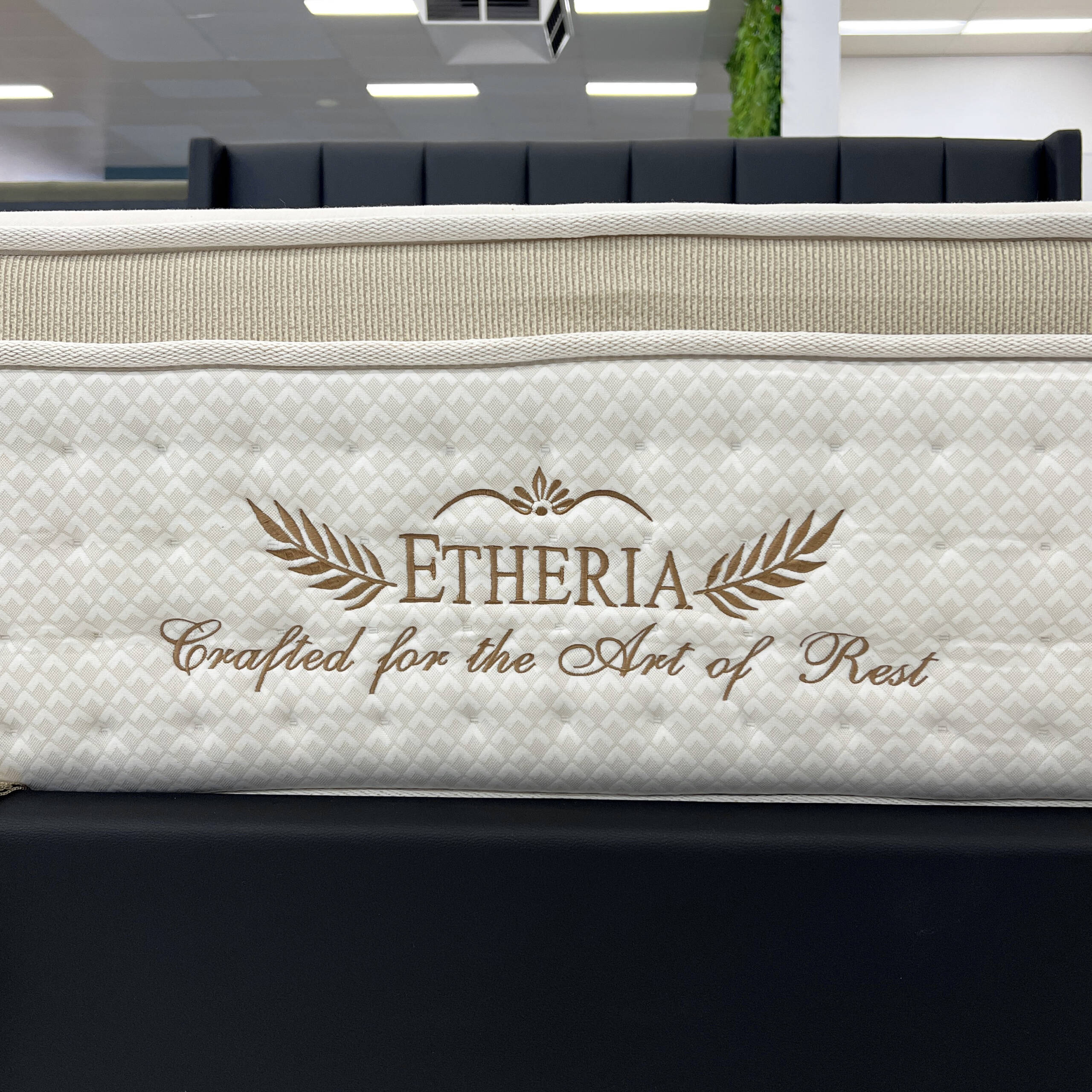 Etheria (7)